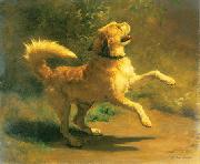 Rudolf Koller Springender Hund oil painting artist